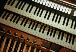 Organ