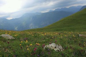 mms_img70368