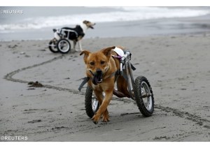 REUTERS978767_Articolo